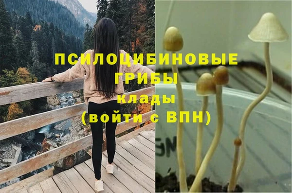 скорость Алексин