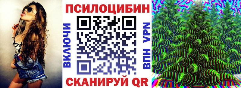 наркошоп  Енисейск  Галлюциногенные грибы Psilocybe 
