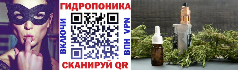 Конопля индика Енисейск